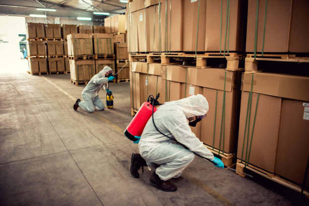 Reliable Paynesville, MN Pest Control Solutions