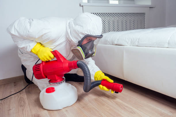 Wasp Removal Services in Paynesville, MN