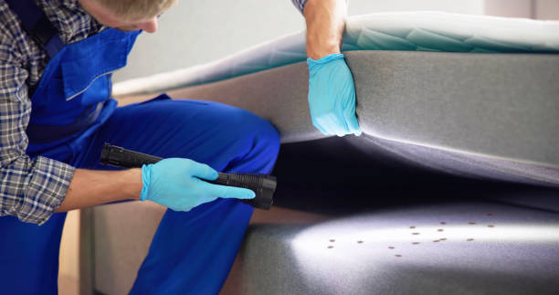 Best Rat Extermination Near Me  in Paynesville, MN