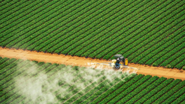 Best Best Pest Control Companies  in Paynesville, MN